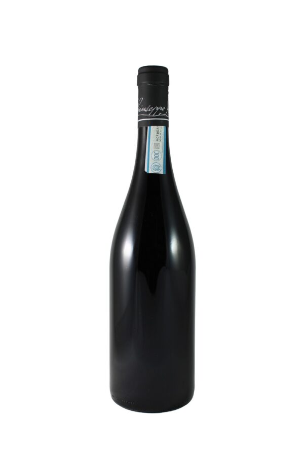 BARBERA D’ALBA 2022 GIUSEPPE RINALDI 75CL 14% - Image 2