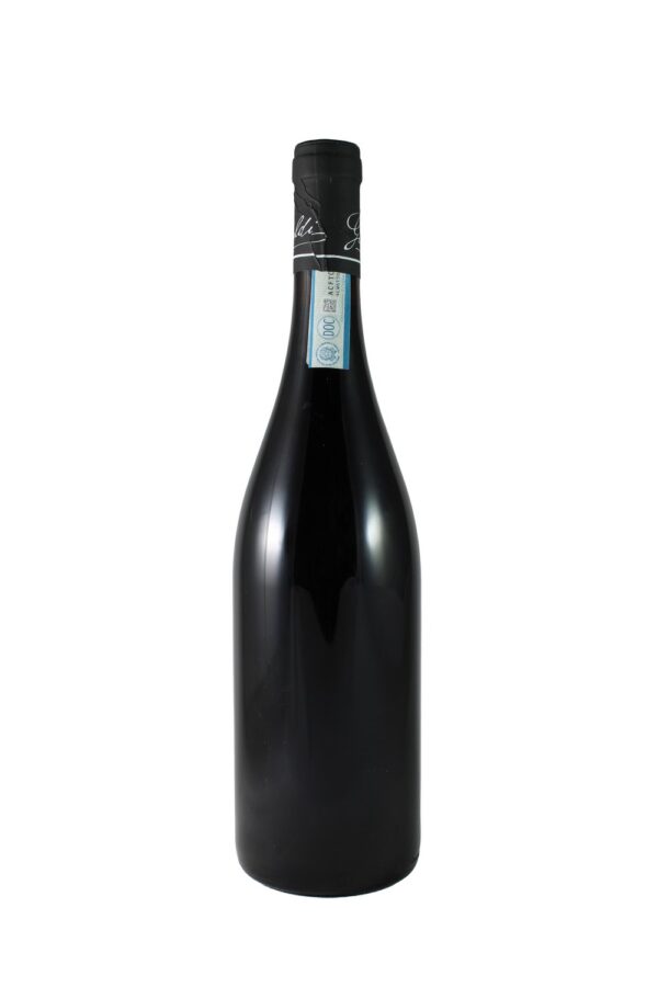 BARBERA D’ALBA 2021 GIUSEPPE RINALDI 75CL 14% - Image 2